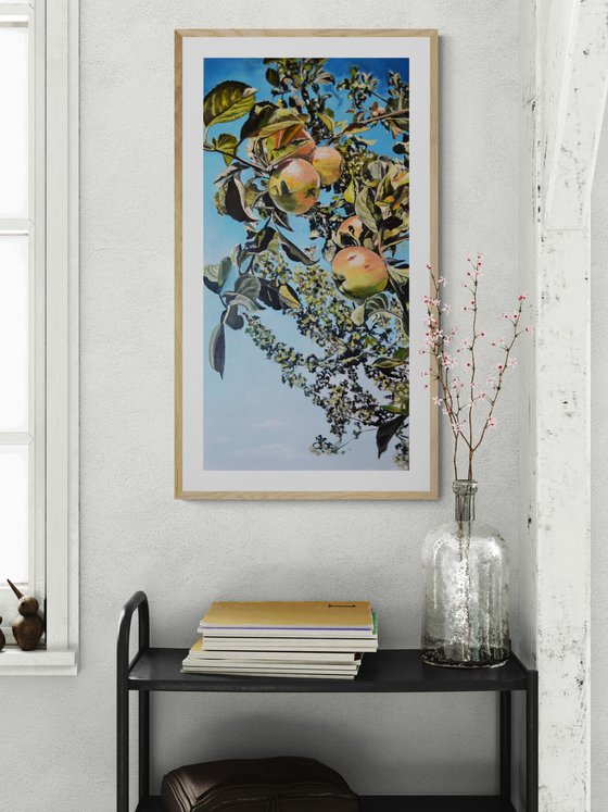 August Apples