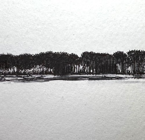 Trees in Pen and Ink - Norfolk Landscape by Catherine Winget