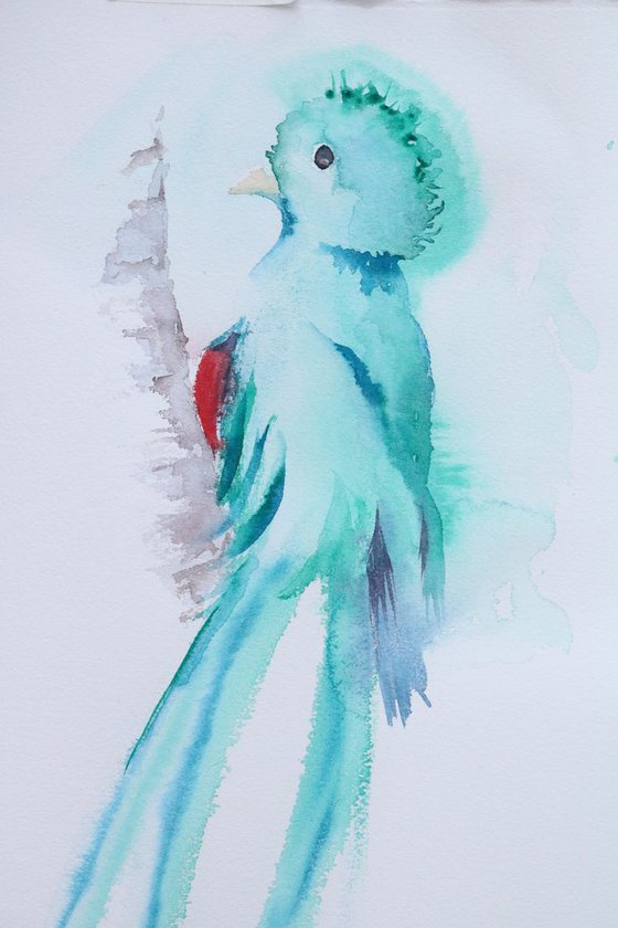 Tropical bird painting - Dos Quetzalitos
