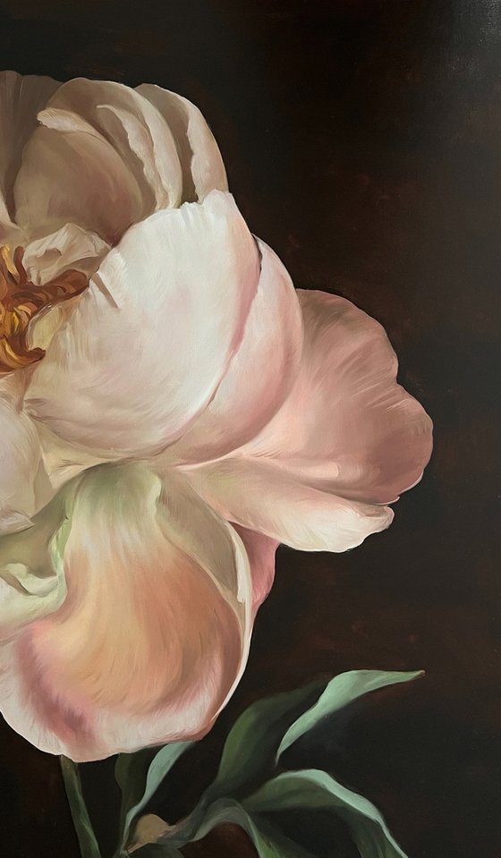 Old Holland flower 6