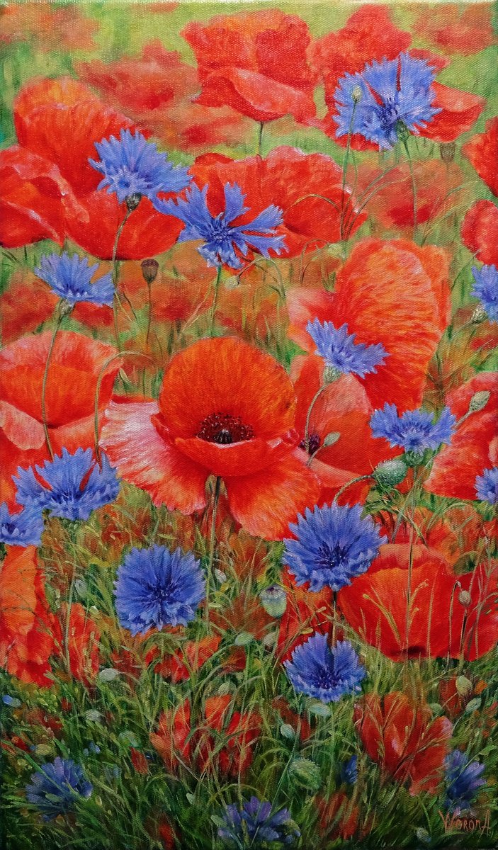 Botanical Oil Painting By Anastasia Woron, 11 X 18, Poppies With Cornflowers., Original Artwork