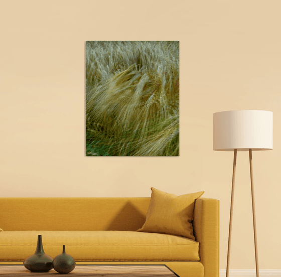 Barley Field, impressionist abstract countryside scene