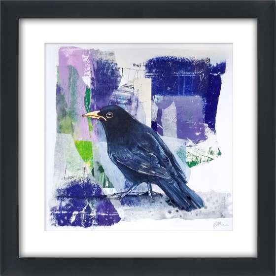 Blackbird collage - framed and ready to hang