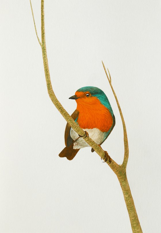Robin sits on the branch