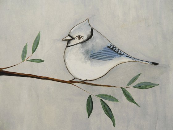 The Blue Jay bird