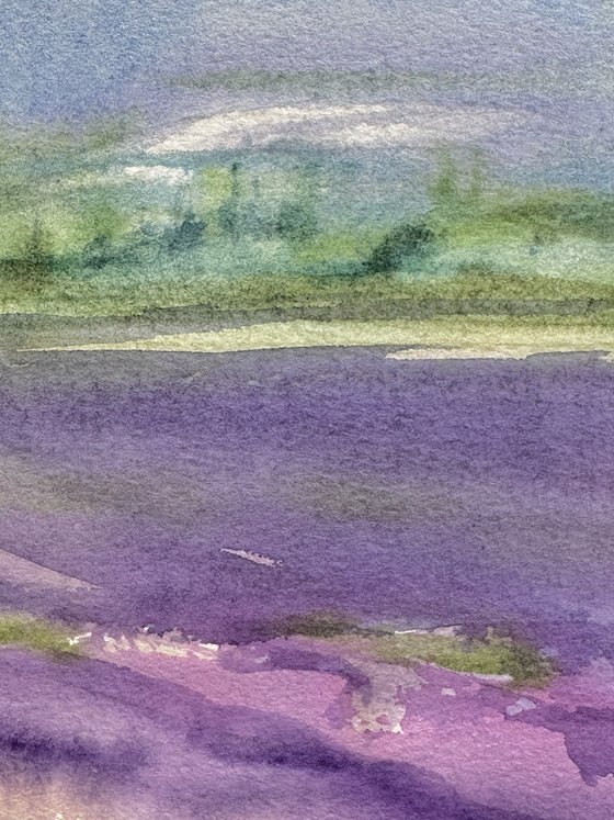 Fields of Provence 2