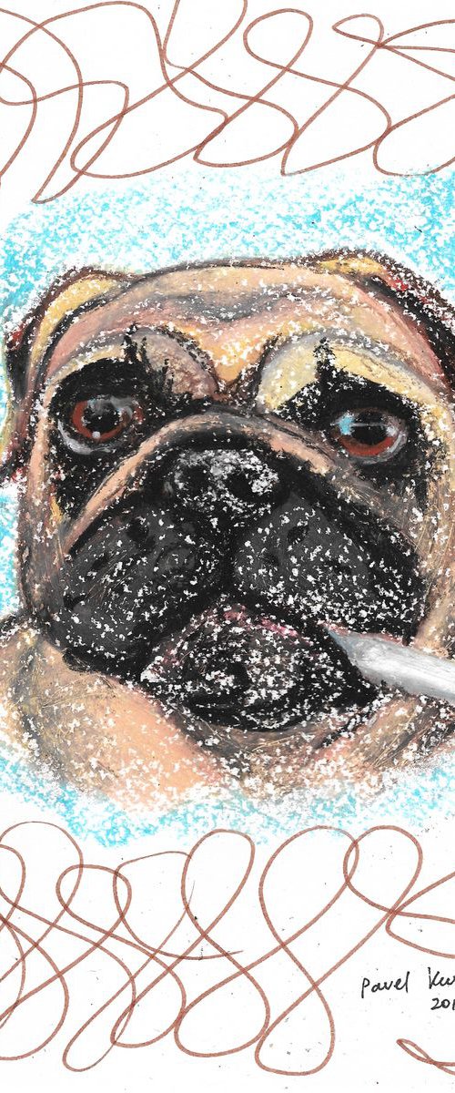 Pug with cigarette by Pavel Kuragin