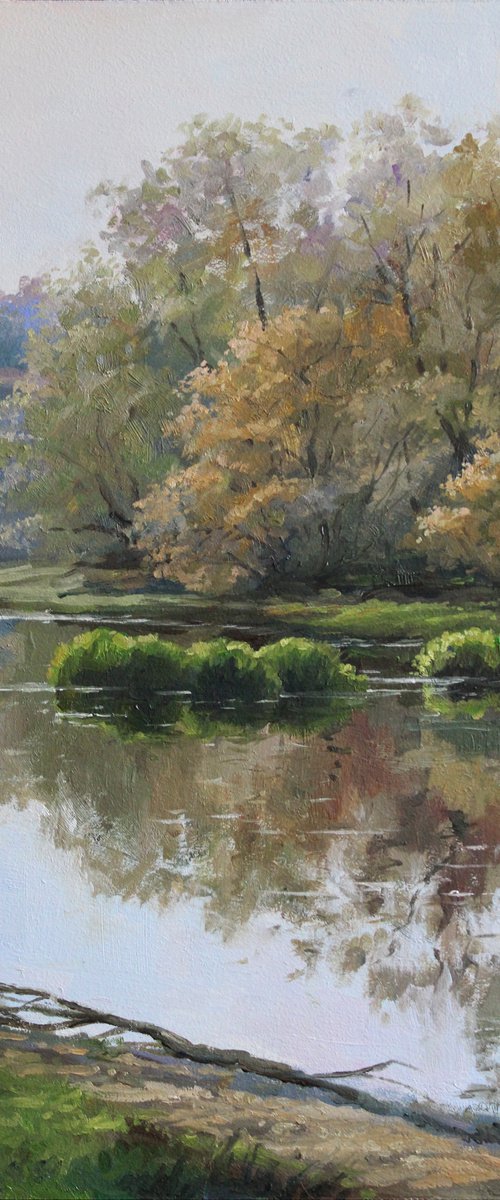 River surface. ORIGINAL OIL PAINTING, GIFT by Linar Ganeev