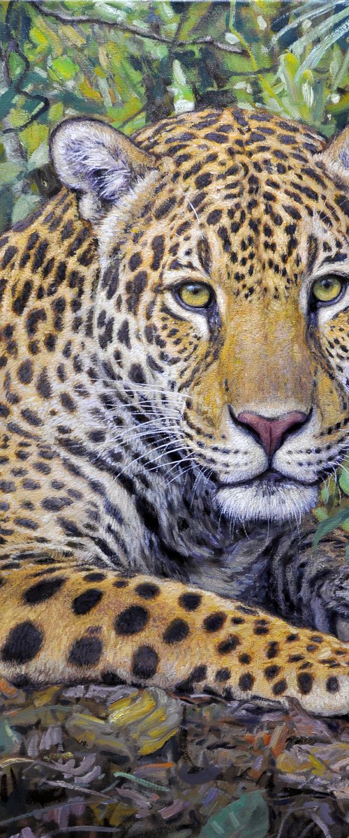 Jaguar by Gabriel Hermida