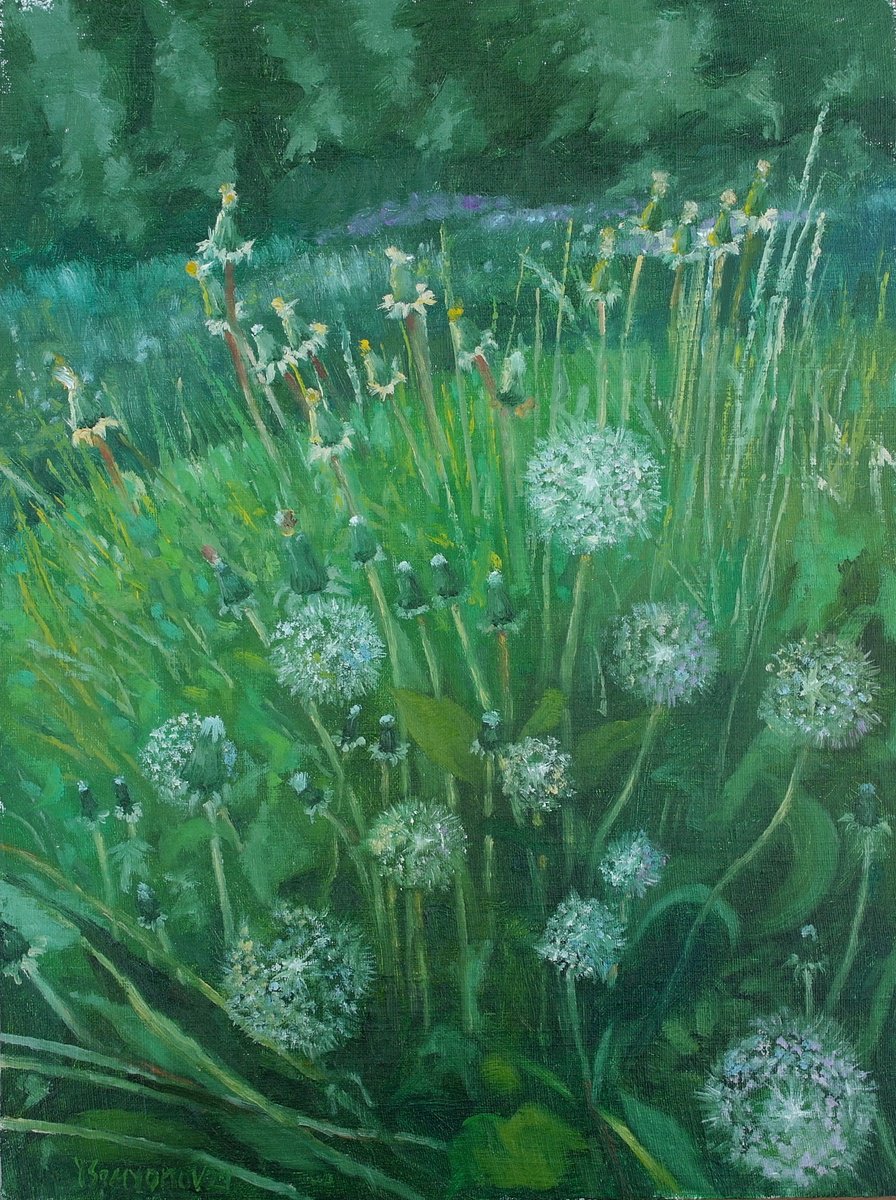 Impressionistic Botanical Oil Painting By Juri Semjonov, 12 X 16", Dandelions, Original Artwork
