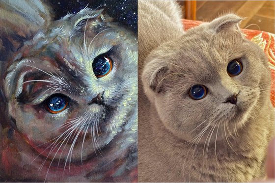 Galaxy cat