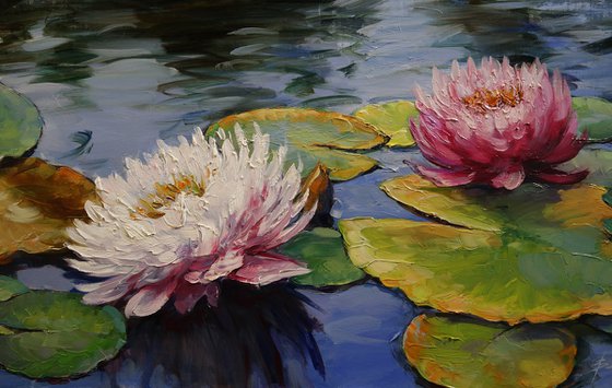 "Pink Lilies on the Pond"