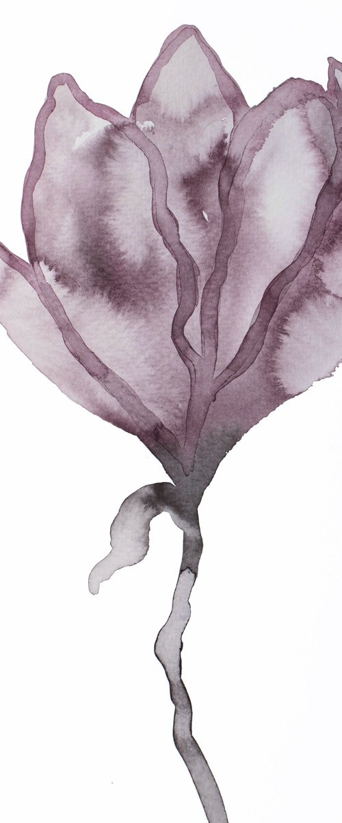 Magnolia No. 58 by Elizabeth Becker