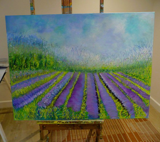 Lavender Fields