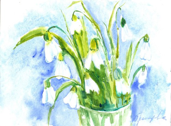 snowdrops