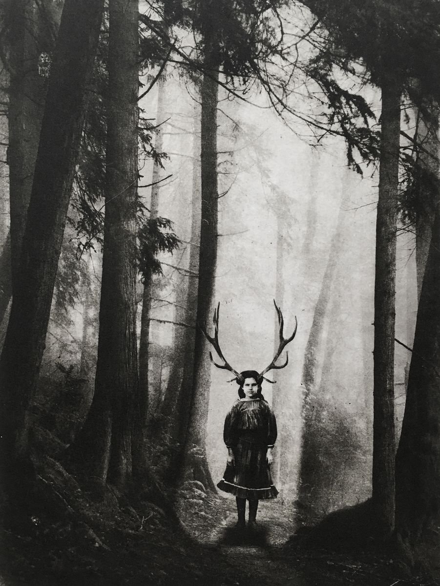 Surrealistic Portrait Etchings & Engravings By Jaco Putker, 10 X 13, Exterior No. 9: The Girl In The Woods, Original Artwork