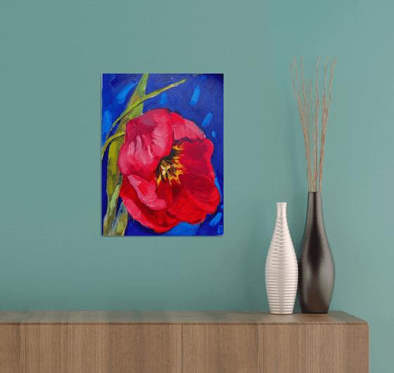 Red tulip