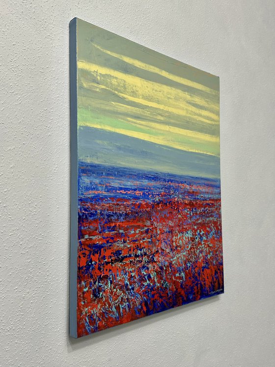 Field at Sunrise D26 40x50cm