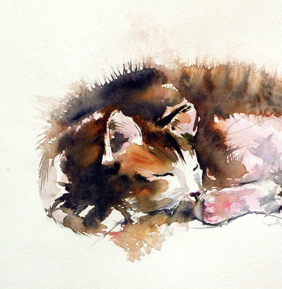 Sleeping cat