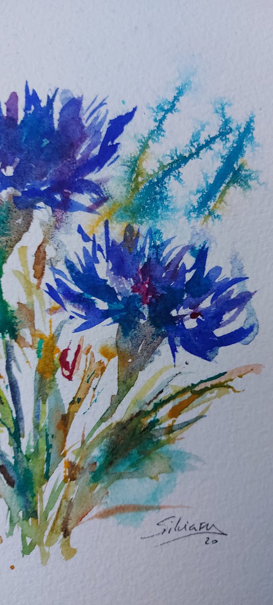 Cornflowers