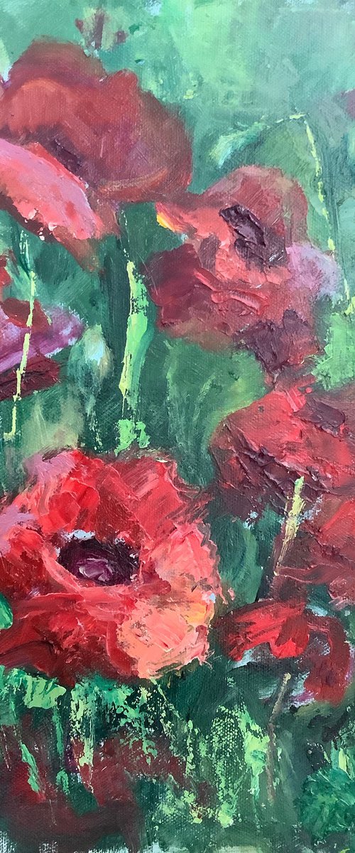 Poppies by Lia Matevosyan Haselton