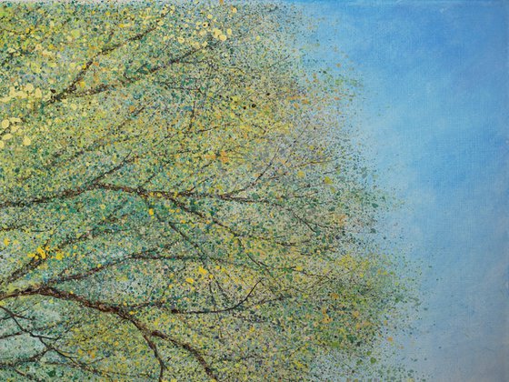 SPRINGTIME ON THE OLD OAK PATH