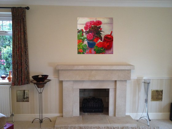Geraniums and Begonias