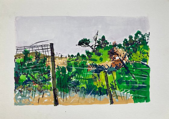 Dunes landscape