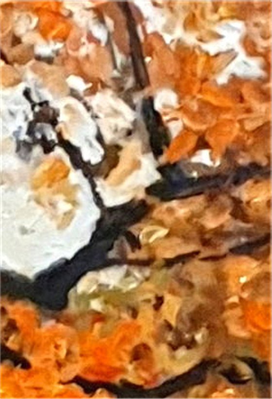 Forever autumn