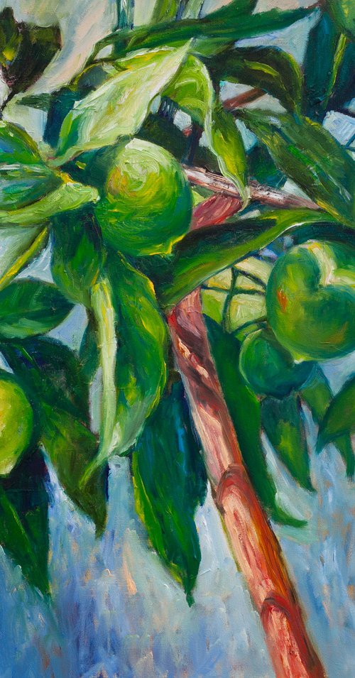 Lime by Liudmila Pisliakova