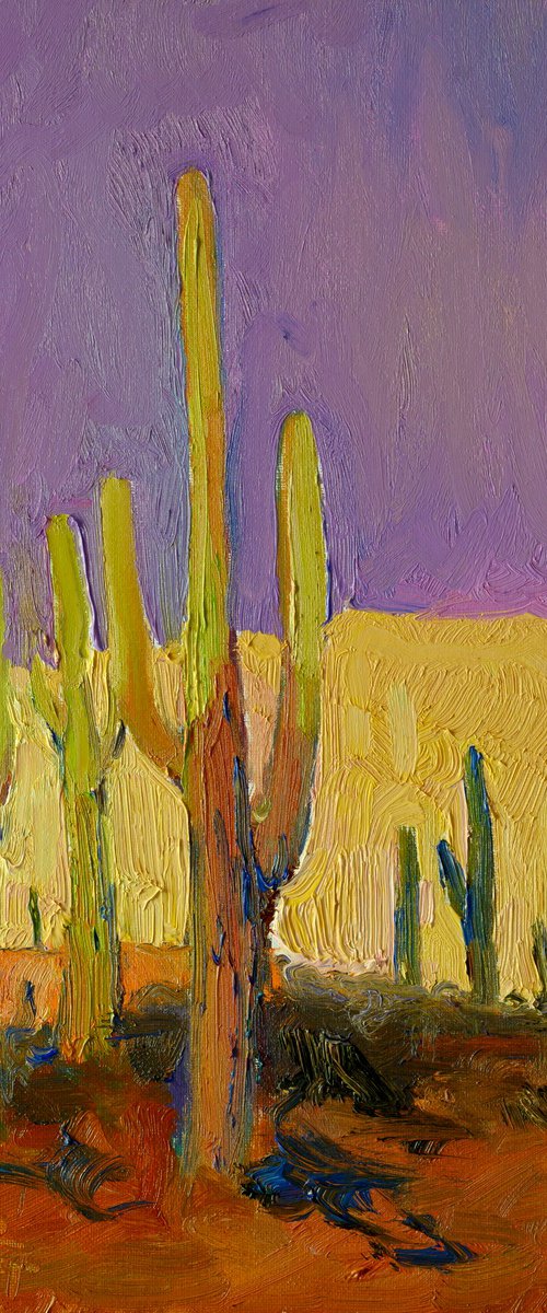 Saguaros. Evening by Suren Nersisyan