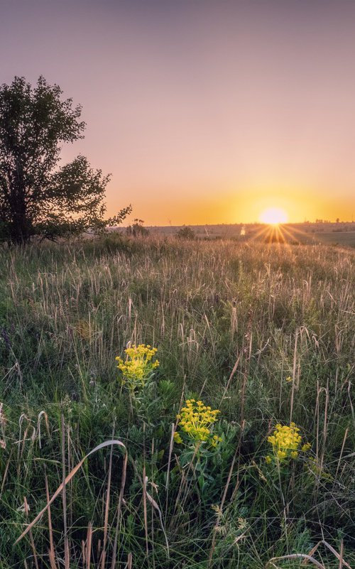 Beautiful morning by Vlad Durniev