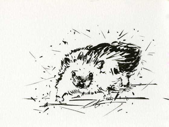 Adorable Hedgehog 4 - Small Minimalist Ink Illustration by Kathy Morton Stanion