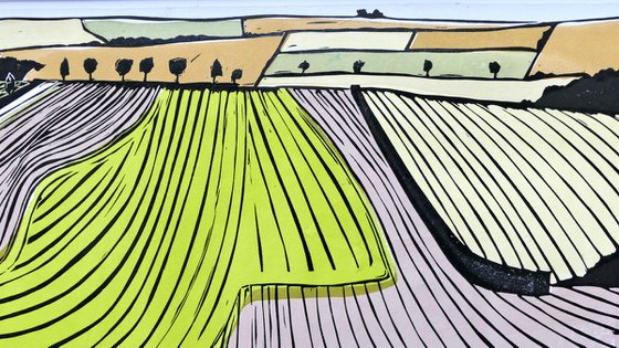 Ploughed Landscape