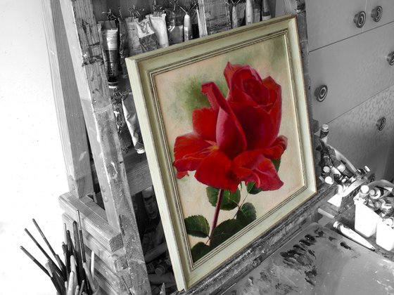 "Scarlett" red  rose flower  liGHt original painting  GIFT (2017)