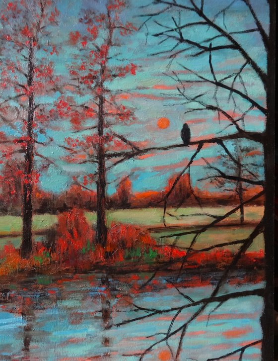 Crow at the pond