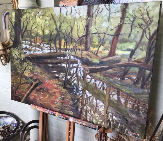 Woodland Idyll