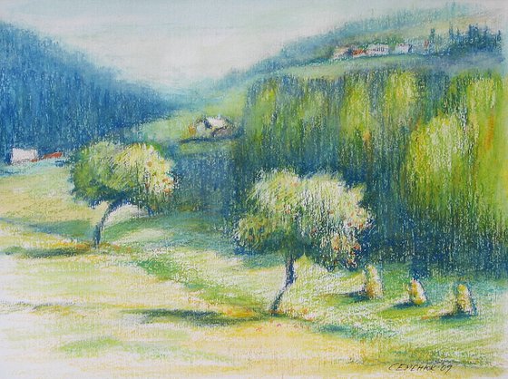 Apple trees. Landscape