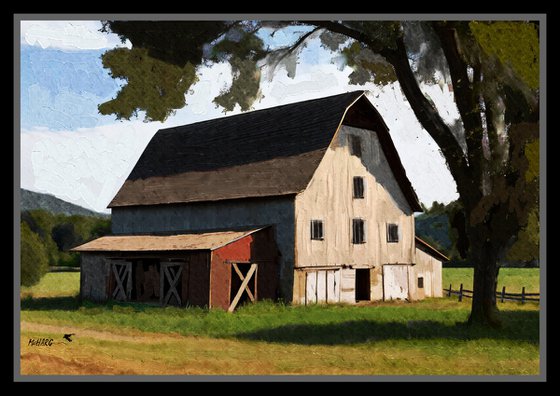 ABANDONED BARN S