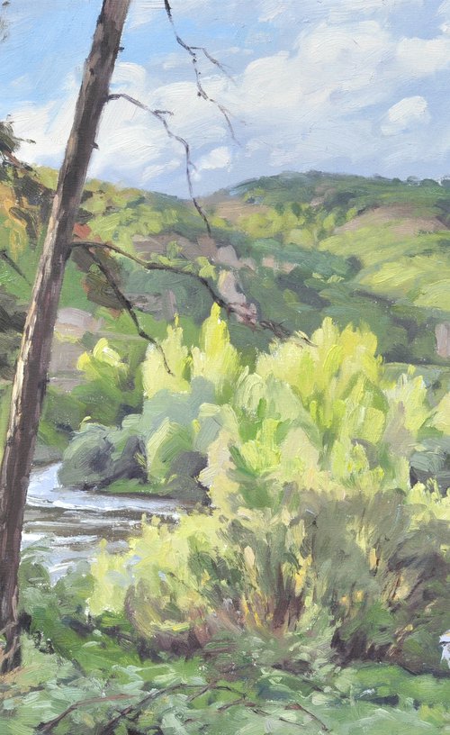 May 15, the edges of the Loire by ANNE BAUDEQUIN
