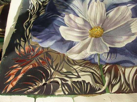 cosmos with morning glory