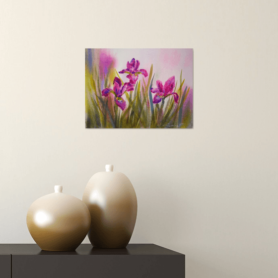 Wild irises