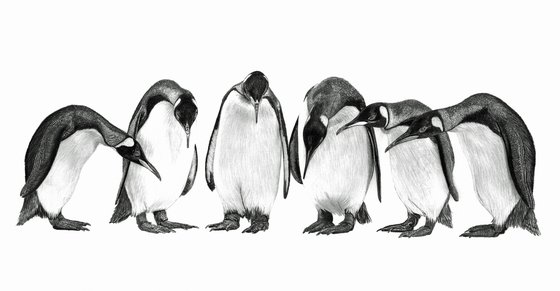 Penguin Conference