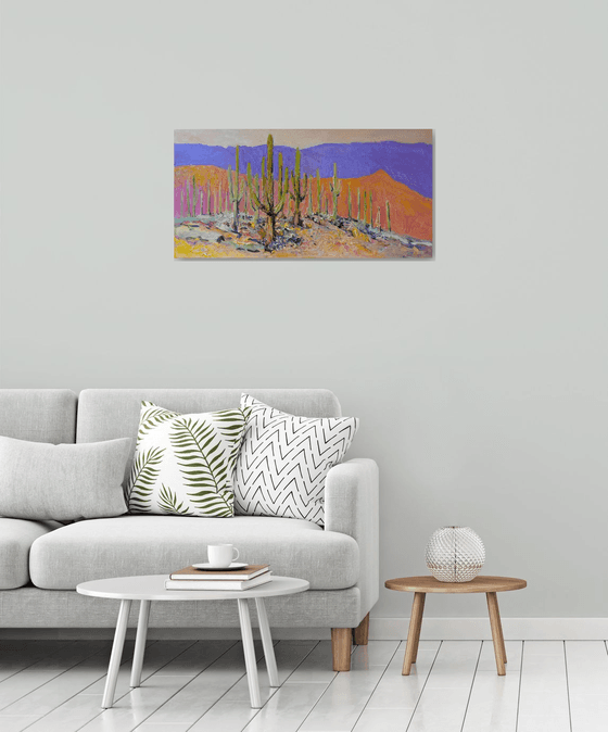 Desert Peace. Saguaros
