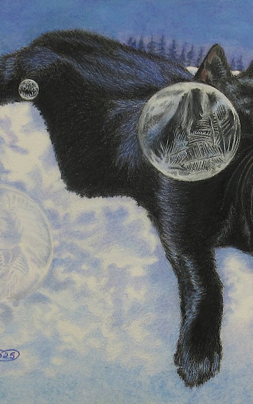 Black Cat Winter Portrait by Nina Elaine Thompson