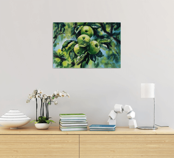 Apples in the sun