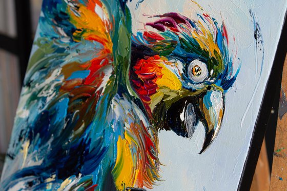 Flying Colors