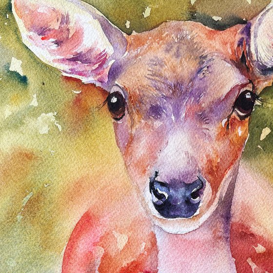 Forest Deer