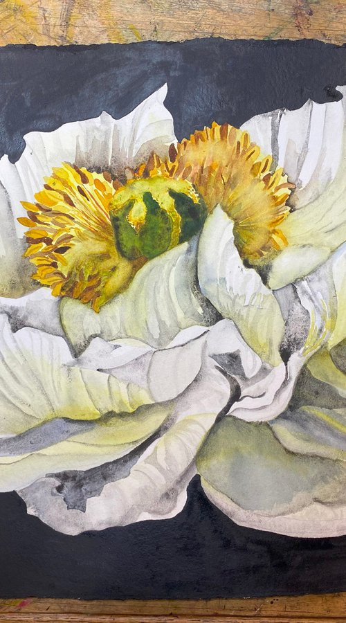 Victoria Awaits by Mary Lyn Gough