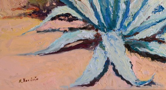 Agaves in the Desert